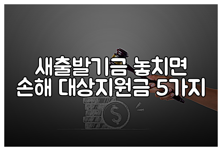 새출발기금 놓치면 손해 대상지원금 5가지
