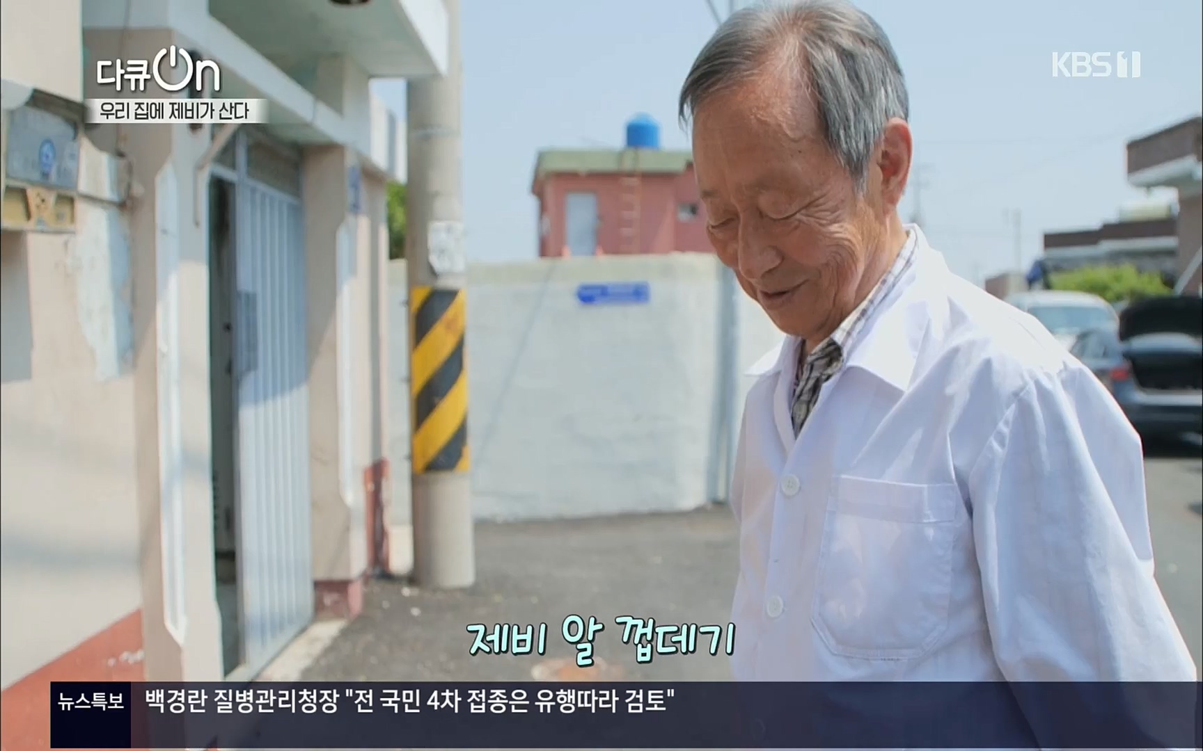 다큐 On.E143.220610p.H264-F1RST.mp4_20220613_202642.511.jpg