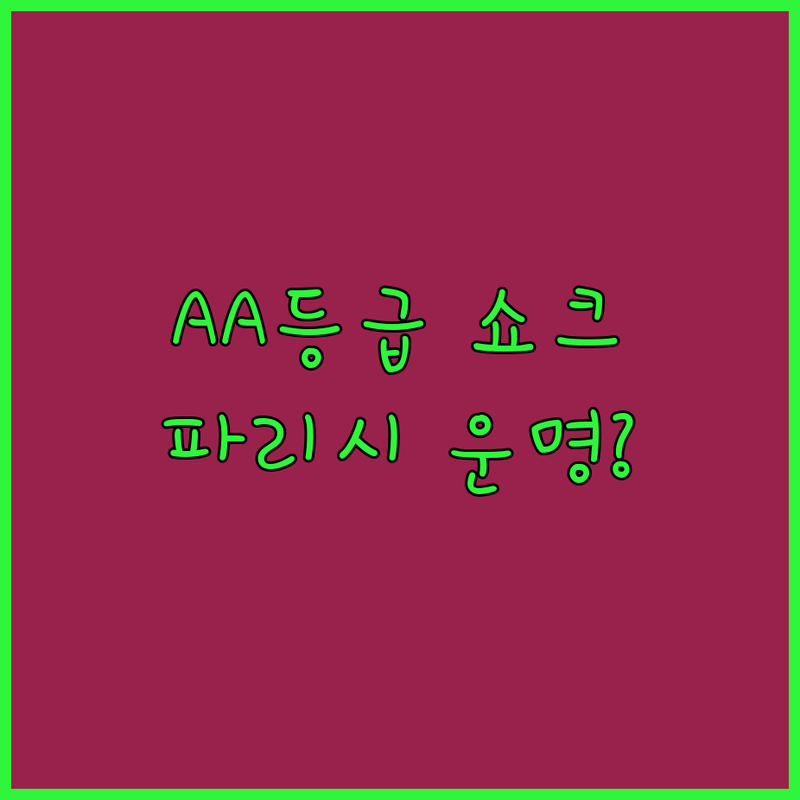SEMAPA AA- 등급 쇼크! 파리