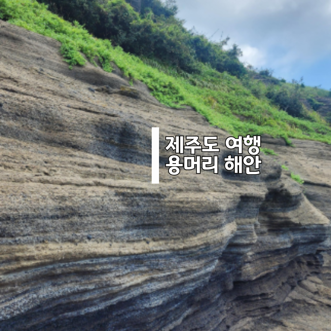 제주도 용머리 해안 완벽 가이드 지형, 역사, 여행 팁까지!