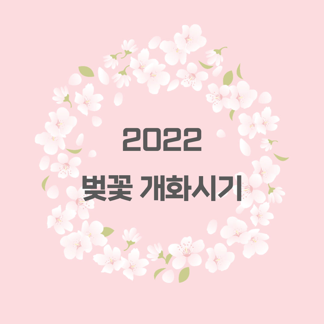 2022 벚꽃 개화 시기