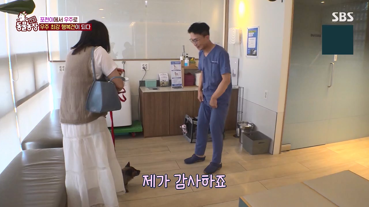 TV 동물농장.E1137.230911p-NEXT.mp4_20230910_183229.628.jpg