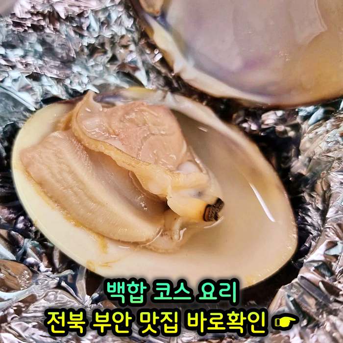 TJB 생방송투데이 전북 부안 백합 코스요리 백합죽 맛집