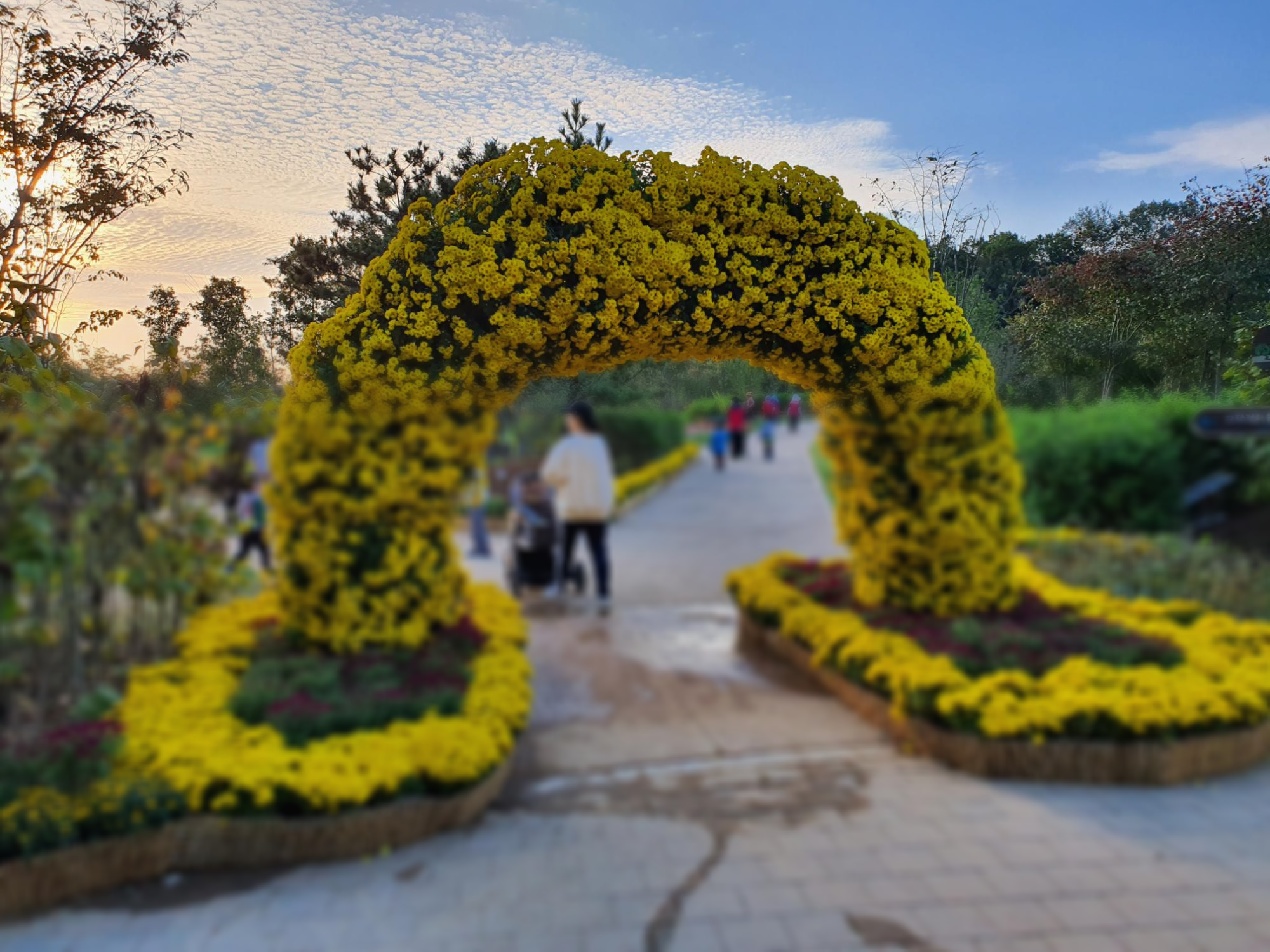 연희공원 꽃밭