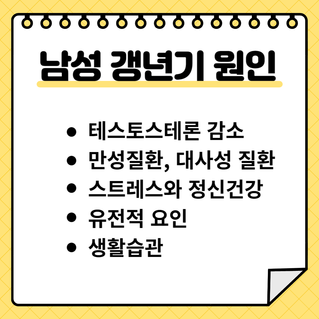 남성 갱년기 원인