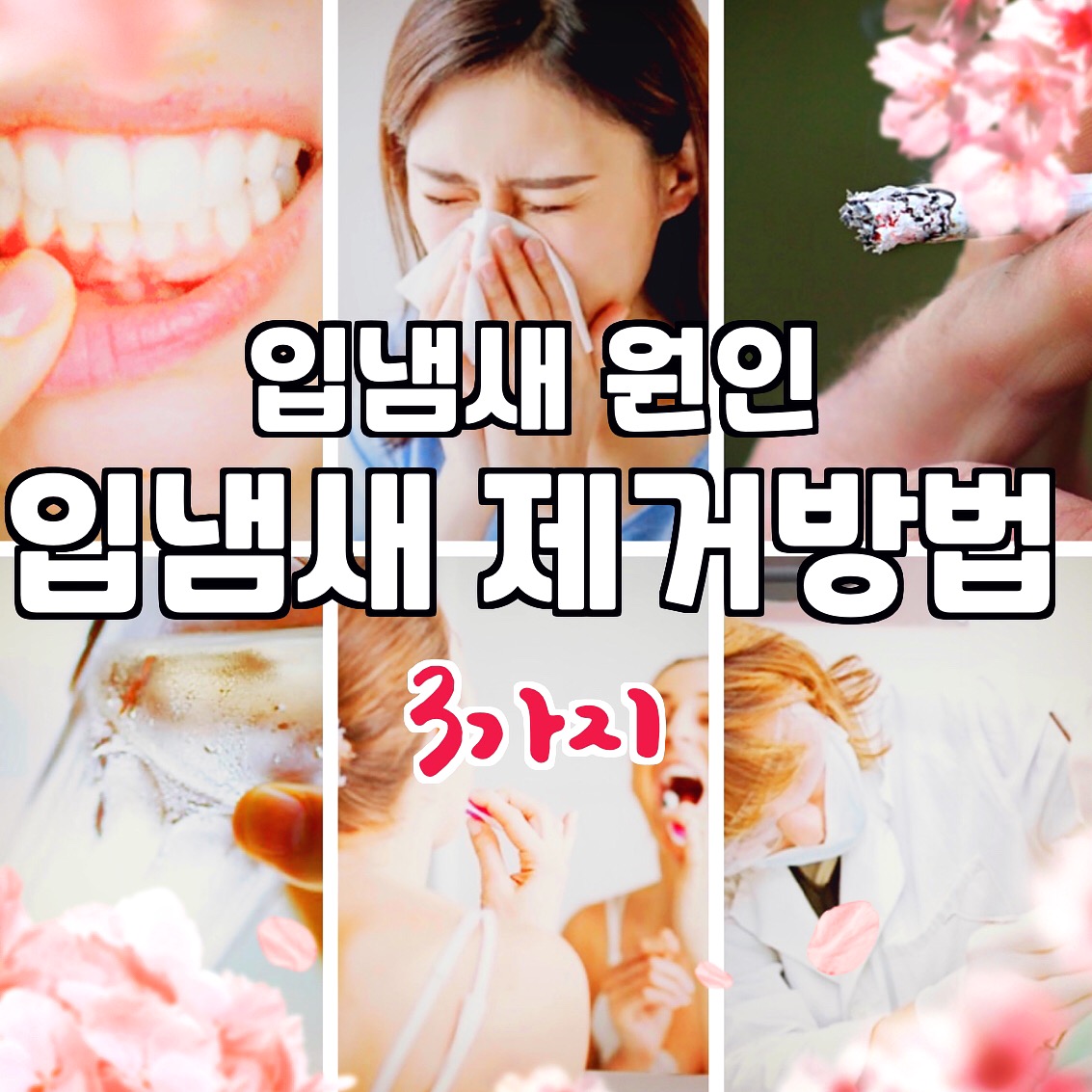  입냄새 원인  입냄새 제거방법 3가지