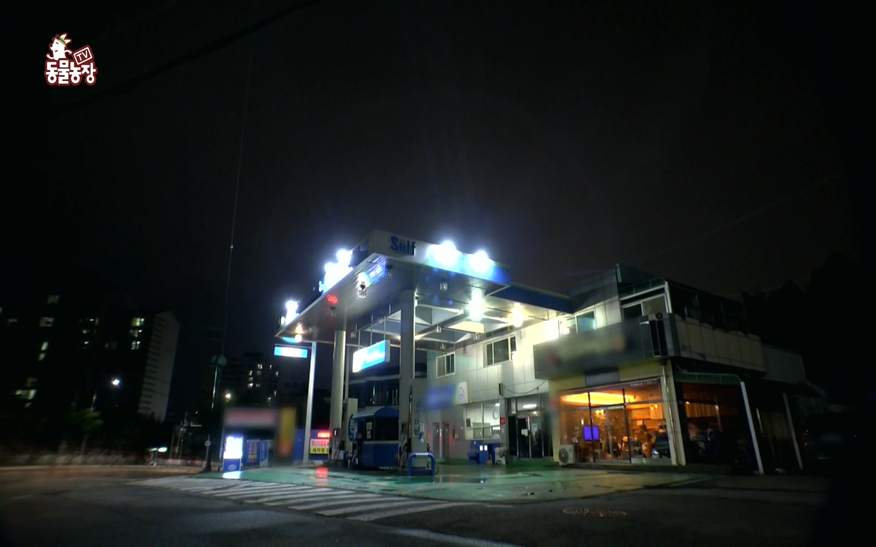 TV 동물농장.E1086.220911p.H264-F1RST.mp4_20220911_175403.740.jpg