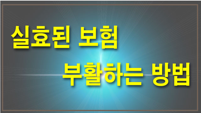  실효된 보험 계약 부활시킬 수 있을까?