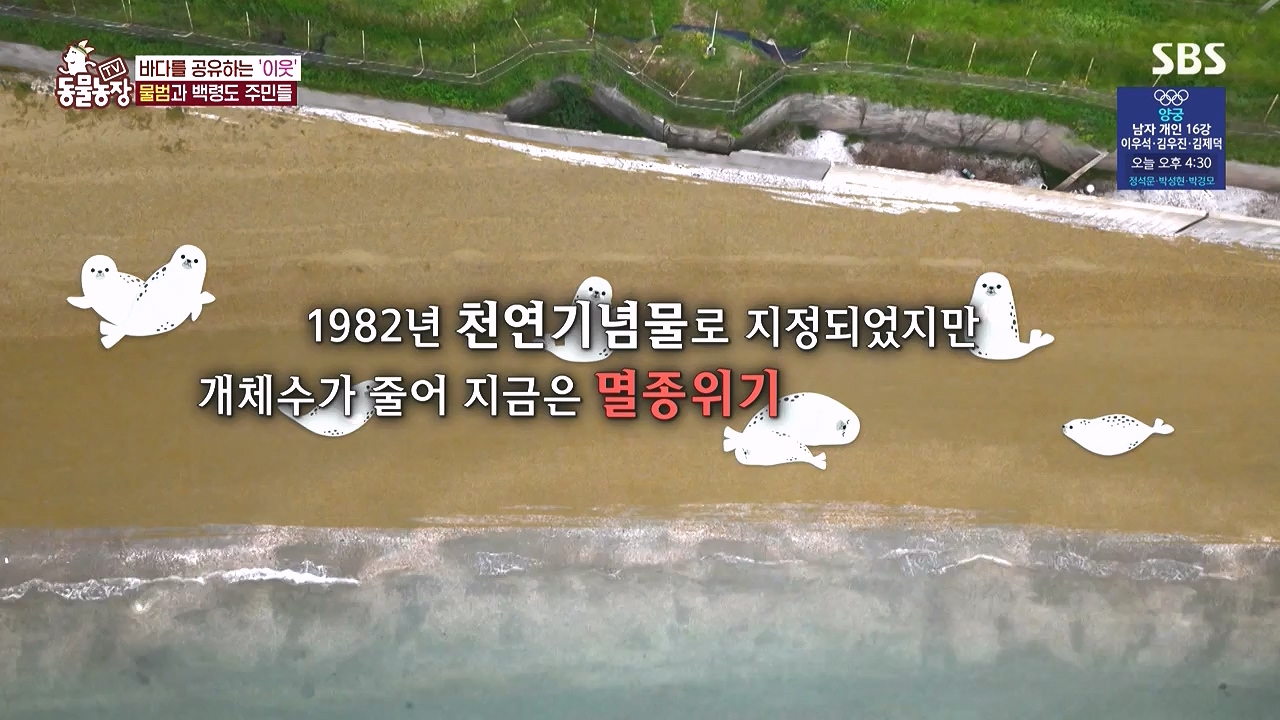 TV 동물농장.E1183.240805p-NEXT.mp4_20240804_154958.137.jpg
