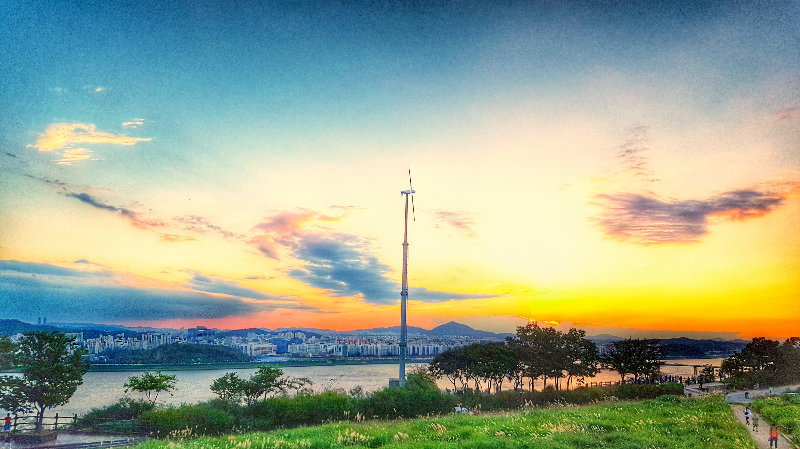  서울억새축제 주차꿀팁 (하늘공원 주차팁)