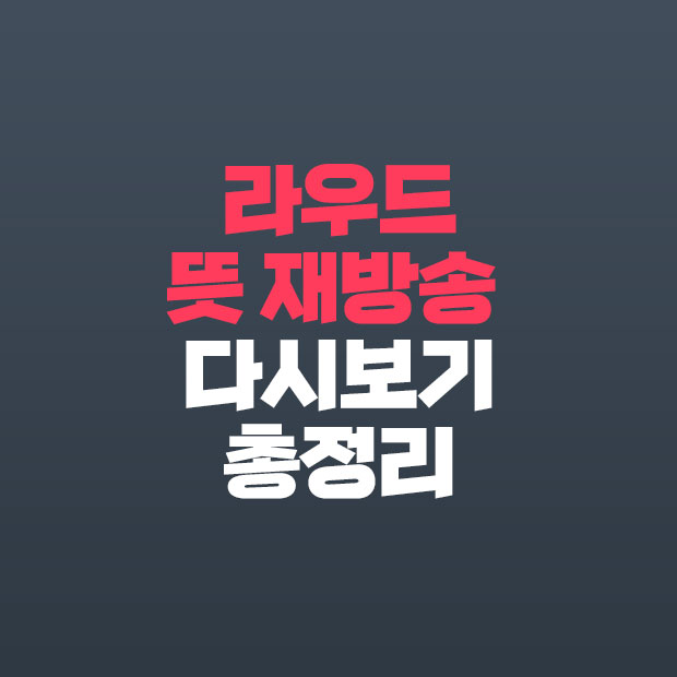  라우드 뜻 재방송