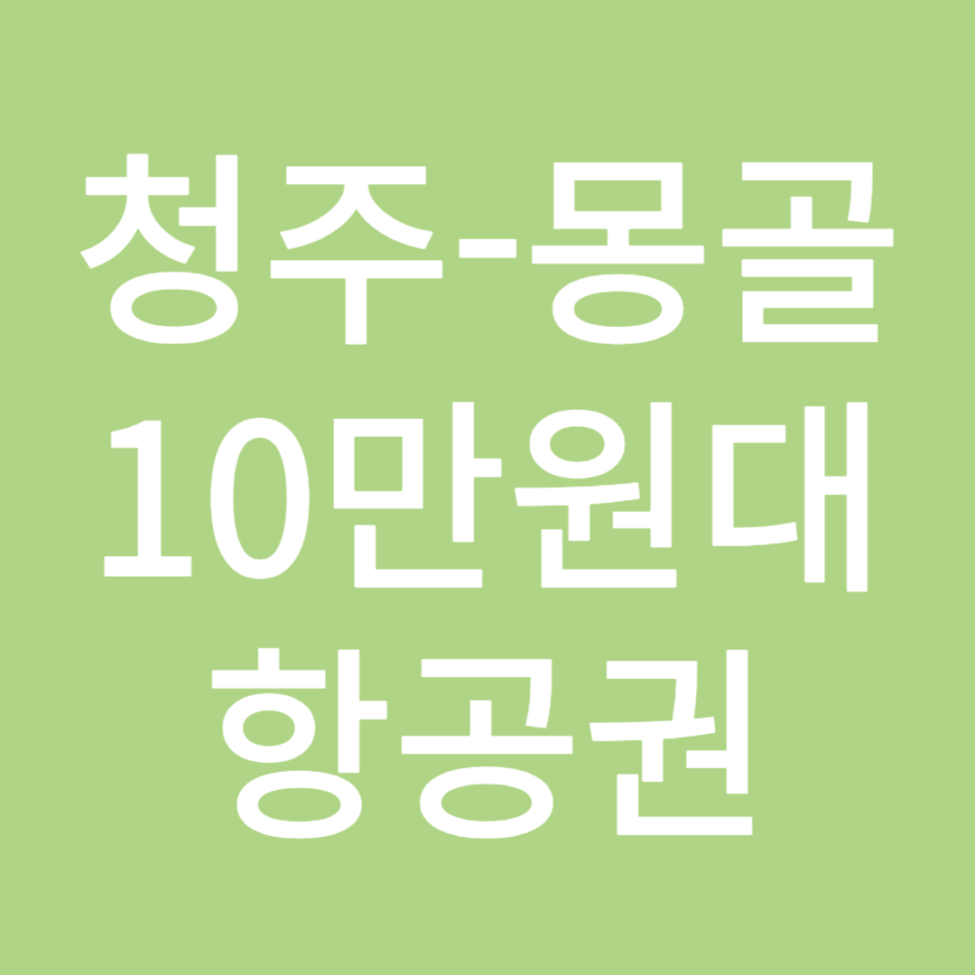 몽골 땡처리 항공권