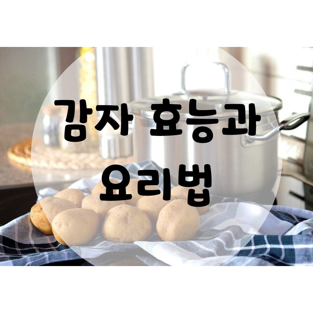  감자 효능과 영양만점 요리법