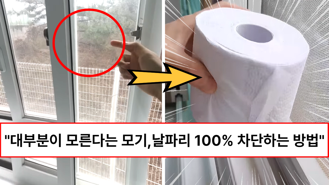 “방충망이 있어도 소용없습니다” 대부분이 모른다는 모기, 날파리 등 벌레 들어오는 곳 총정리 (+100% 차단법)