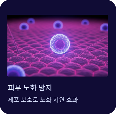 복분자효능-복분자효과-복분자남성-피부노화방지-눈건강개선