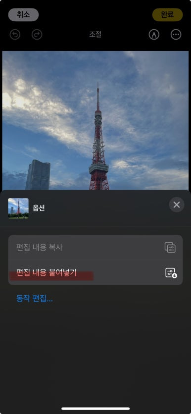 여러사진