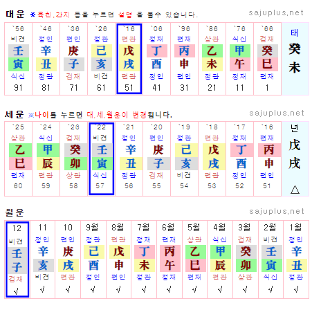 플러스만세력-대운-세운-월운