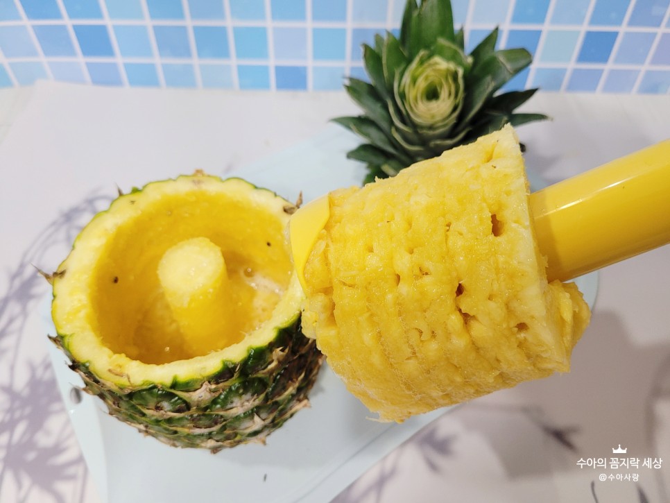 파인애플자르기 :: 칼 & 6