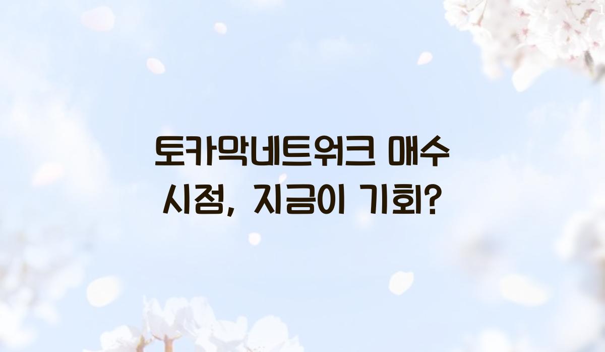 토카막네트워크 매수 시점
