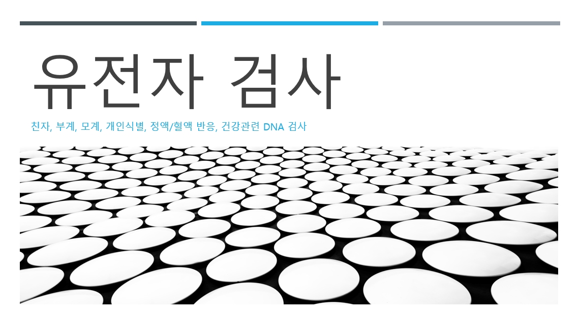 100세 인생 tistory