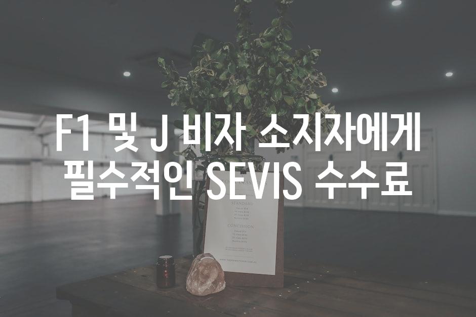 F1 및 J 비자 소지자에게 필수적인 SEVIS 수수료