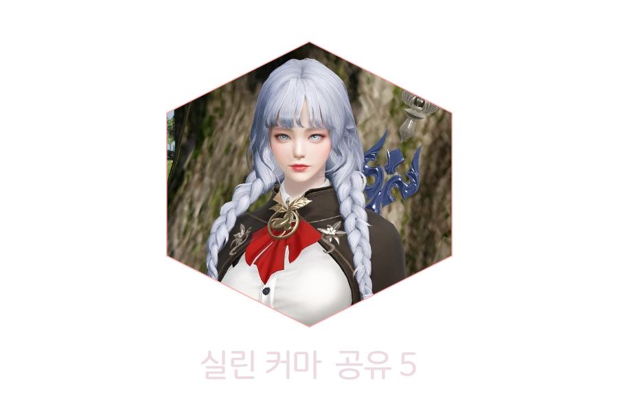  [상시공유] 로스트아크 실린 커마 공유 5