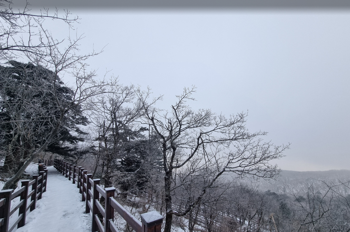 발왕산