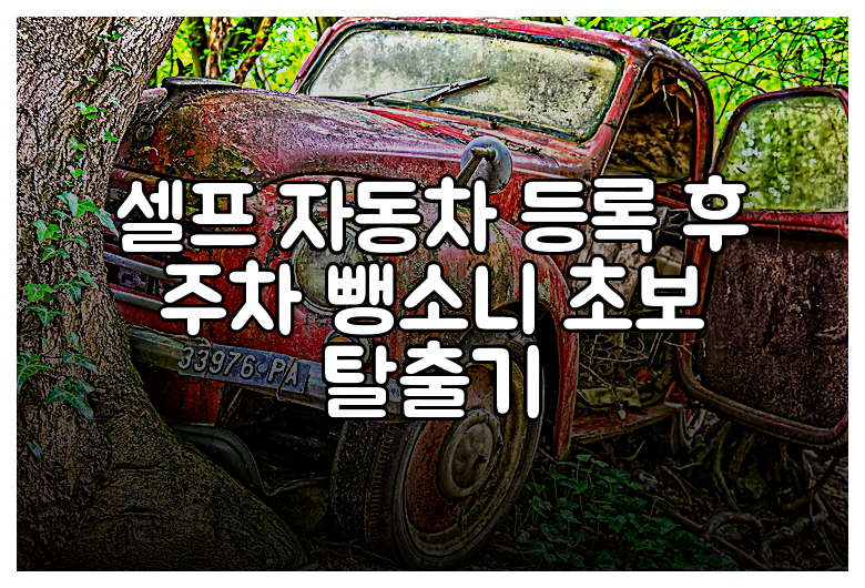 셀프 자동차 등록 후 주차 뺑소니 초보 탈출기