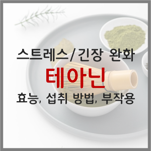  테아닌: 효능, 섭취 방법, 섭취량, 부작용(스트레스, 긴장 완화, 수면 영양제)