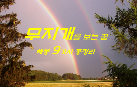  무지개꿈 해몽 9가지 총정리