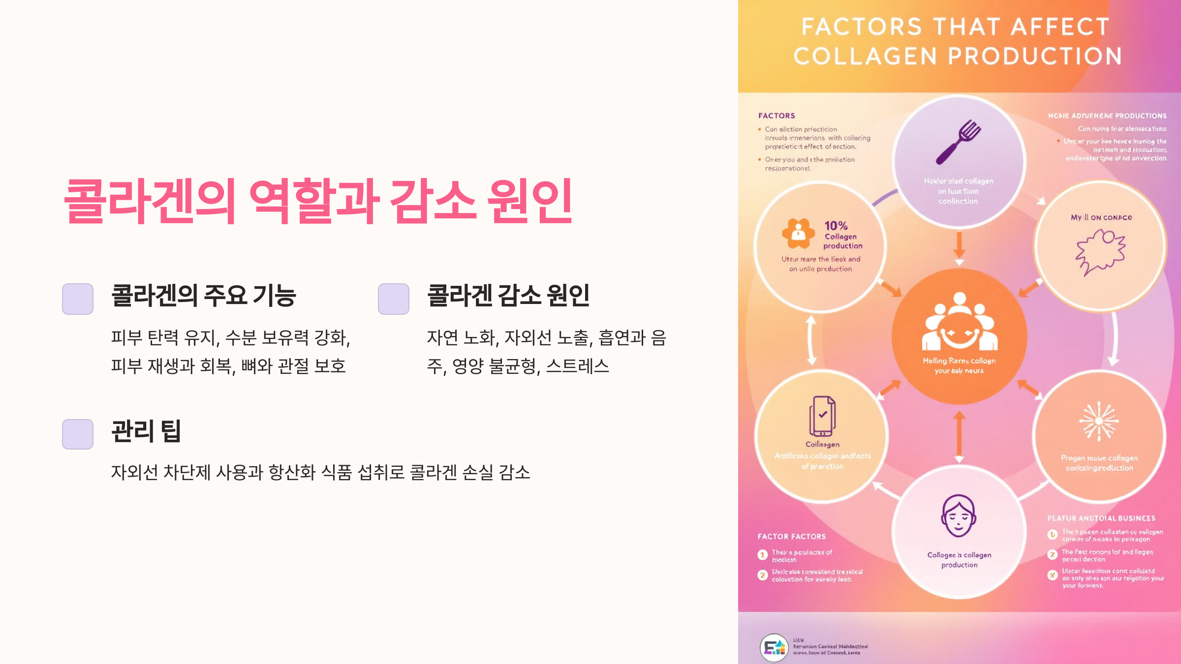 건조한 피부를 촉촉하게! 콜라겐 흡수율 높이는 관리 비법