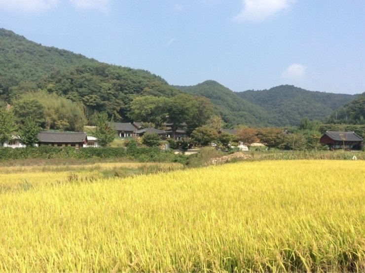 사자산문(獅子山門)의 대표적 선종사찰, 화순 쌍봉사