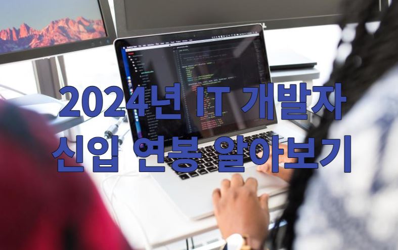 2024년 IT 개발자 프로그래머 신입 연봉 정리(대기업,테크 기업,스타트업)