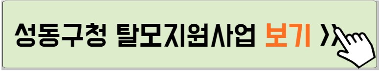 성동구청 탈모지원사업 내용 설명하는 사진