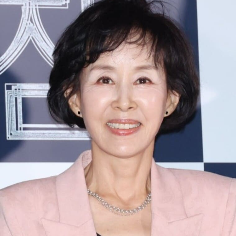 배우-이경진