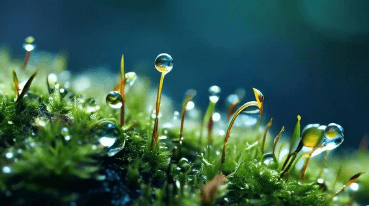 아랫배가 너무 묵직해요. 임신 가능성