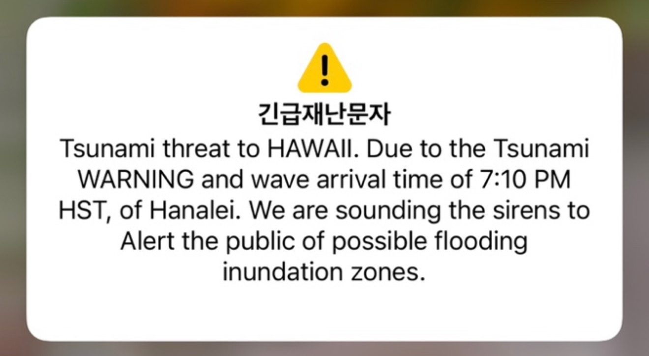 하와이 쓰나미 경보? 와이키키에서 직접 겪은 영화 같은 하루