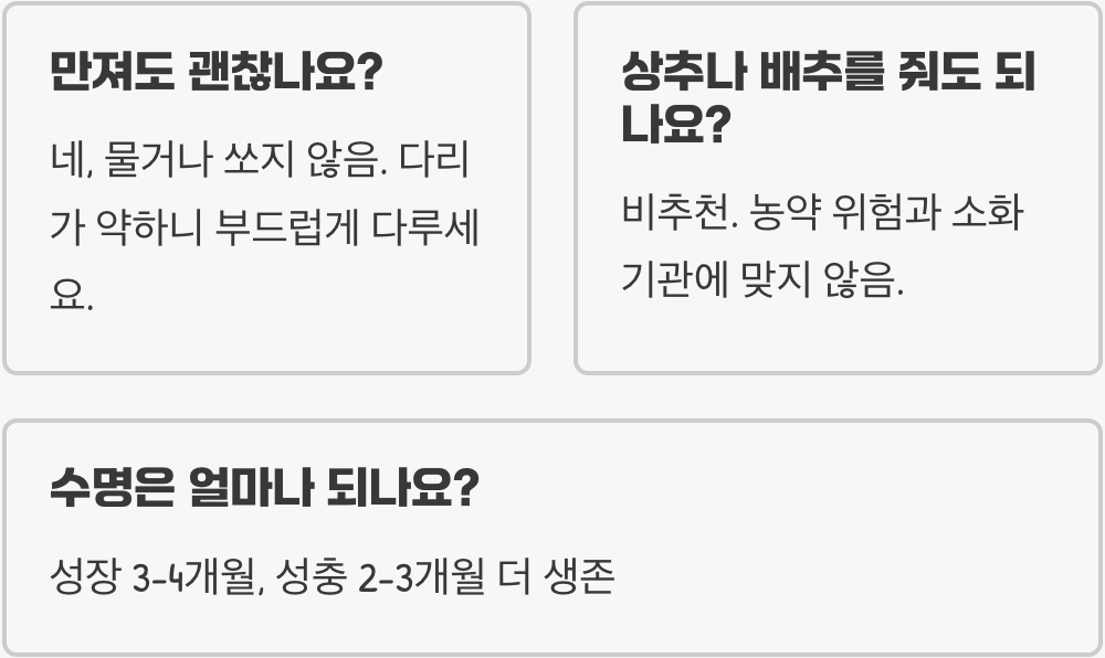 대벌레 키우기 A to Z (사육장, 먹이, 온도)