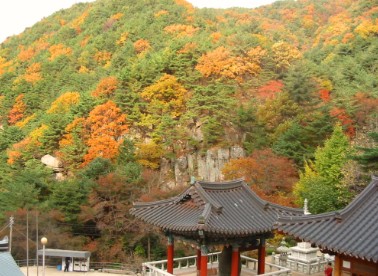 팔공산 단풍축제
