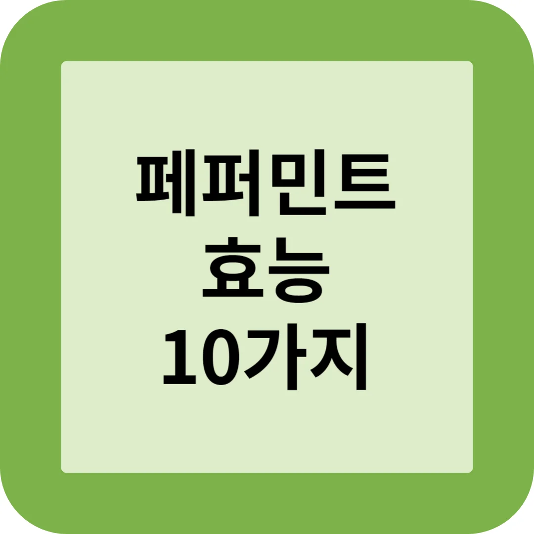 페퍼민트 효능 10가지