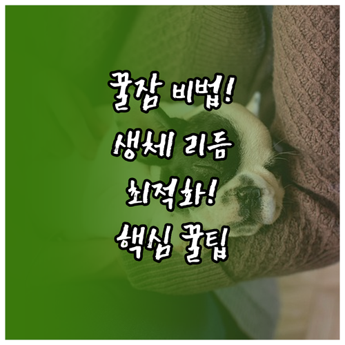 건강한 수면 습관 정착: 생체 리듬 ..