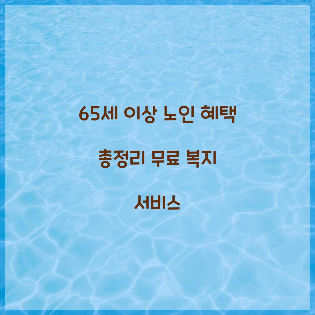 65세 이상 노인 혜택