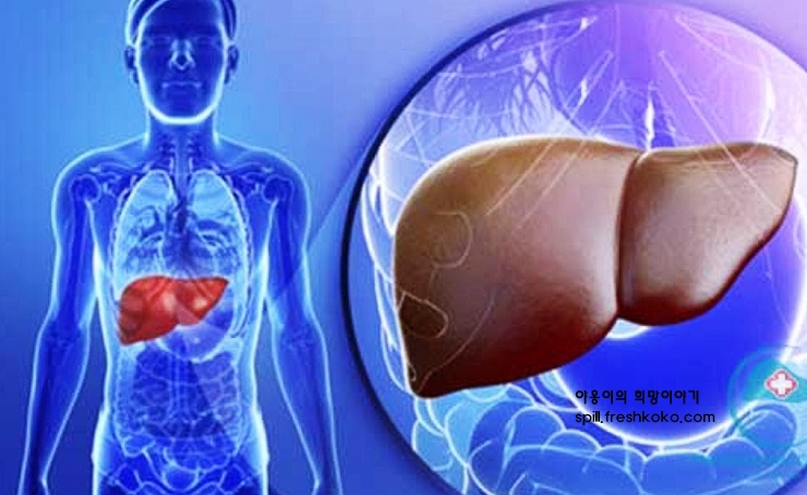 간수치가 높으면 나타나는 증상