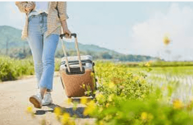 노고단 탐방예약