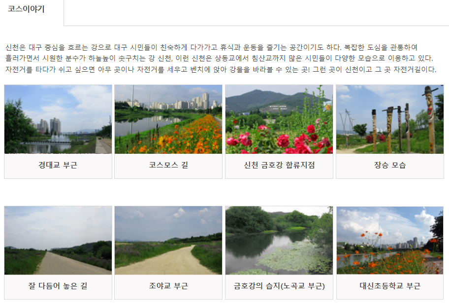 신천둔치
