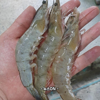 새우장 만드는법