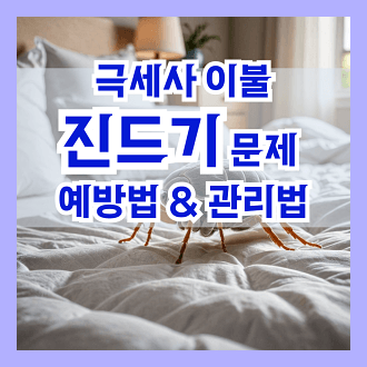 극세사 이불과 진드기의 연관성 극세사 이불 진드기 문제 예방법 및 관리법