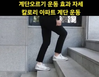 계단오르기 운동 효과 방법 10가지로_16