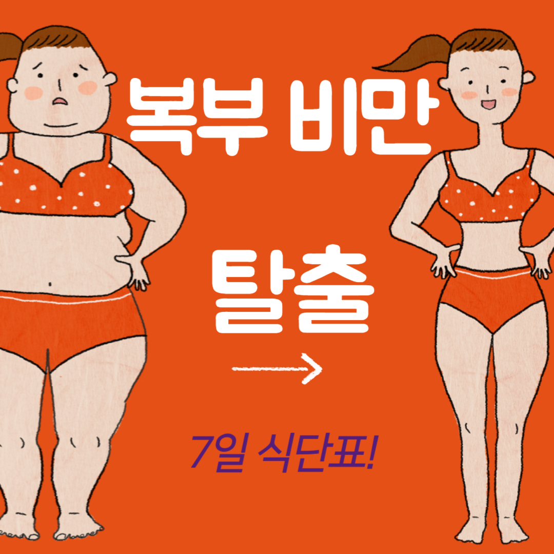 복부비만 탈출 7일 식단표!