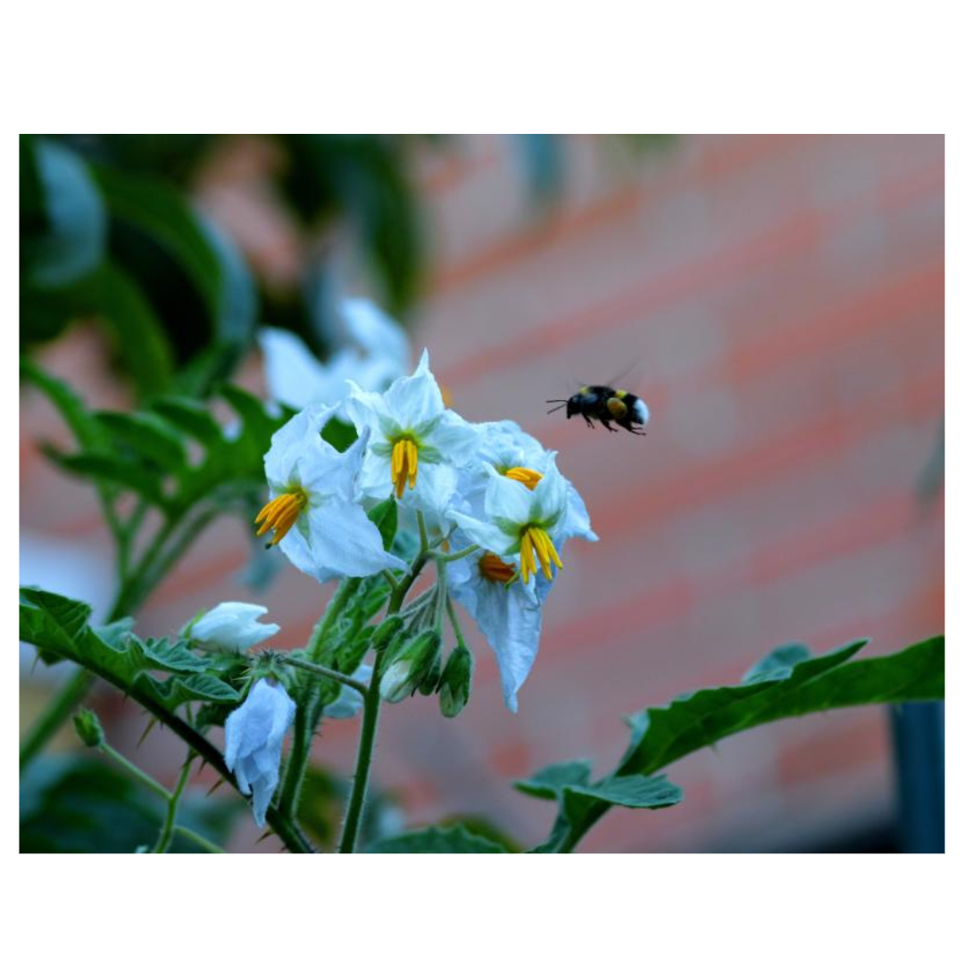 여주와 관련된 사진입니다.